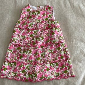 12m Luli Shift Dress Like New No Stains
